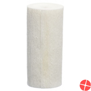 Lohmann Krepp Papier Binde 8cmx4m 20 Stück
