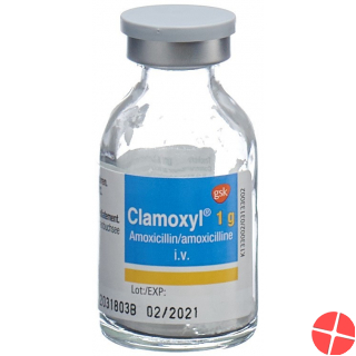 Clamoxyl Trockensubstanz 1g Durchstechflasche 10 Stück