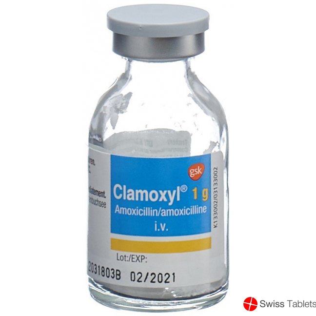 Clamoxyl Trockensubstanz 1g Durchstechflasche 10 Stück buy online