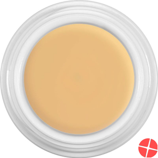 Dermacolor Body Cover D2 Tube 50ml