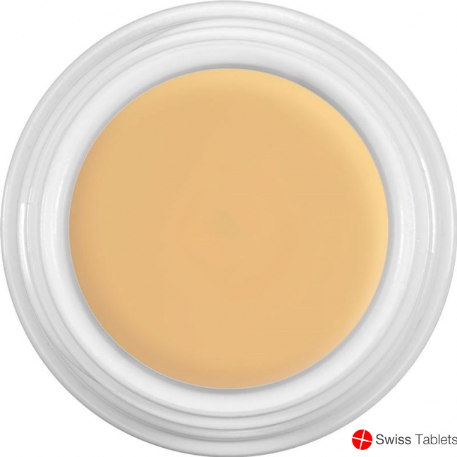 Dermacolor Body Cover D2 Tube 50ml buy online