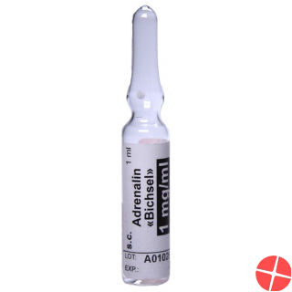 Adrenalin Bichsel Injektionslösung 1mg/ml 10 Ampullen 1ml