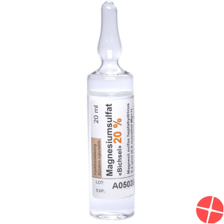 Magnesiumsulfat Bichsel 20% 10 Ampullen 20ml