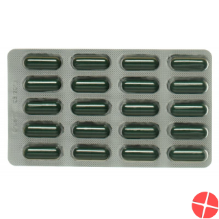 Activomin Kapseln 120 Stück