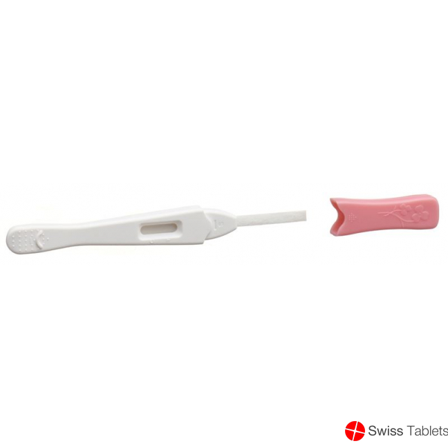 Ind Hcg Midstream Pregnancy Test Mini 2 Stück buy online
