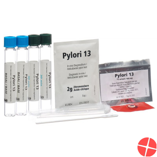 Pylori 13 Helicobacter Pylori Breath Test Kit