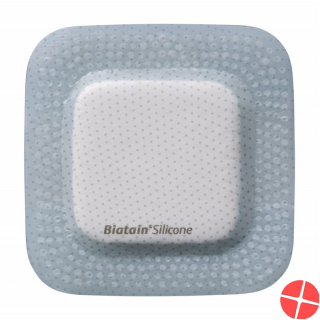 Biatain Silikon Schaumverband 10x10cm Selbsthaftend 10 Stück
