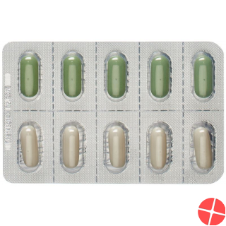 Burgerstein Skin 30 tablets + 30 capsules