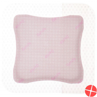 Allevyn Gentle Border Lite Wundverband 10x10cm 10 Stück