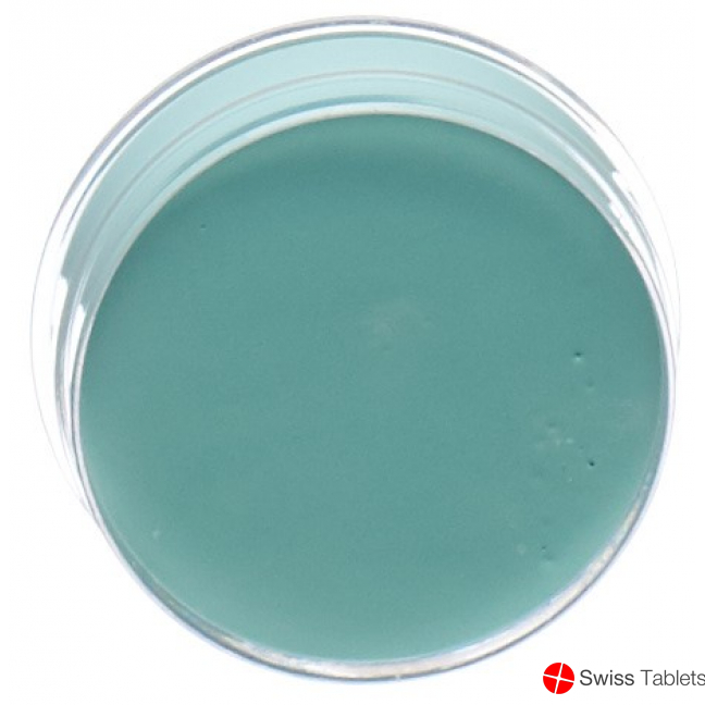 Carneval Color Aqua Make Up Mint Dose 10ml buy online