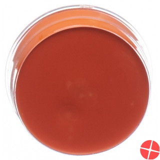 Carneval Color Aqua Make Up Orange Dose 10ml