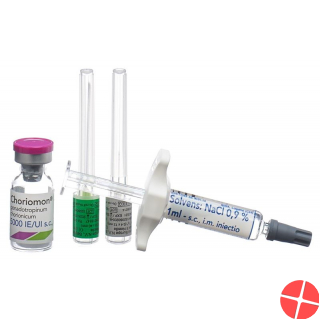 Choriomon 5000 Ie C Solv (spritze) Durchstechflasche 3 Stück