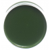 Carneval Color Fettschminke Grün Dose 15ml buy online