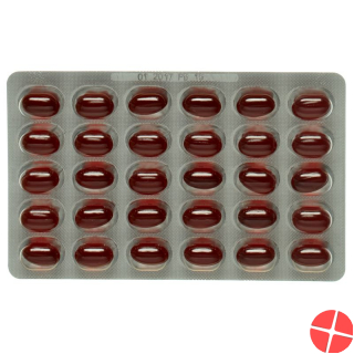 Ω7 Sanddorn Argousier Sea Buckthorn Oil Capsules 180 Caps