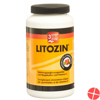 Litozin Kapseln Hagebutten & Vitamin C 120 Stück