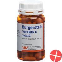 BURGERSTEIN 500 mg capsules