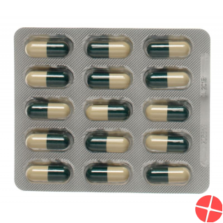 Pantogar 90 Kapseln