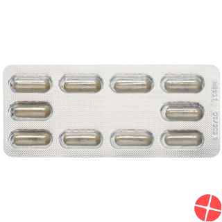 Floradix Iron + B12 Capsules Vegan 40 pieces