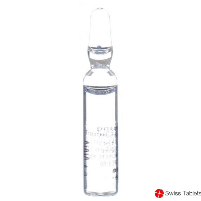 Traumeel S Injektionslösung 100 Ampullen 2.2ml buy online