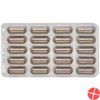 Padma Aciben Capsules 40 Capsules