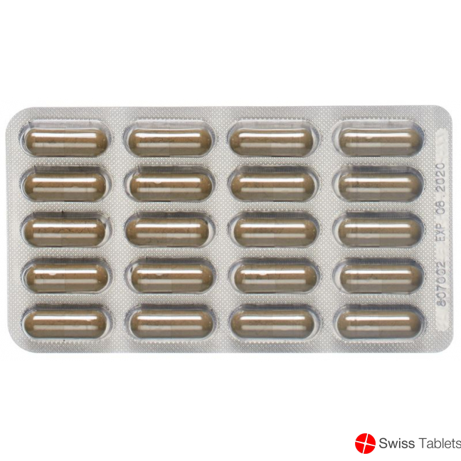 Padma Grippe-Formel Kapseln 60 Stück buy online