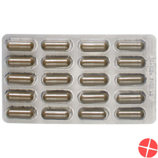 Dr. Dünner Phytoworld Ashwagandha Basil Biotin Capsules 40 Pieces