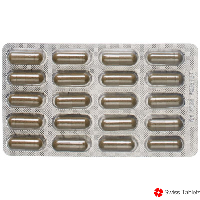 Dr. Dünner Phytoworld Ashwagandha Basil Biotin Capsules 40 Pieces buy online