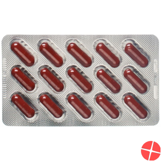 Dr. Dünner Essenzavita Artichoke and Choline Capsules 30 pieces