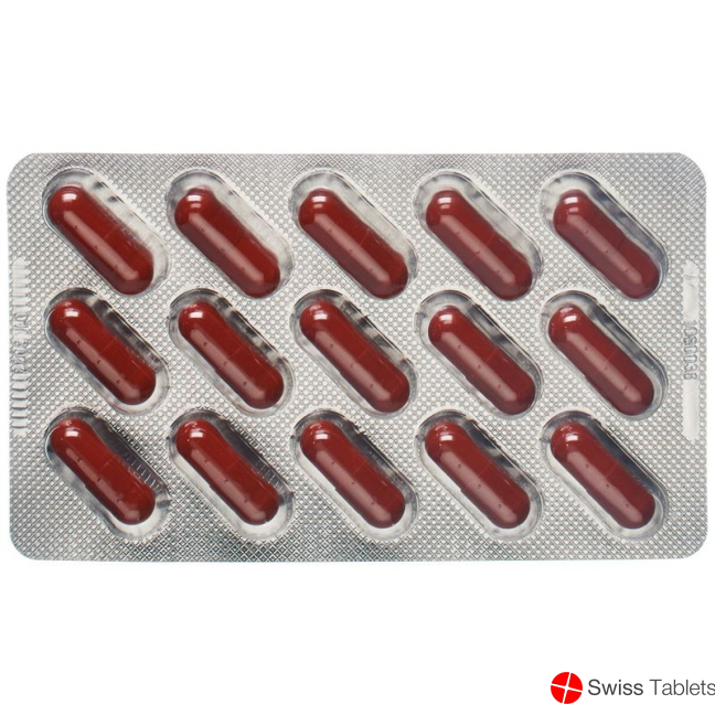 Dr. Dünner Essenzavita Artichoke and Choline Capsules 30 pieces buy online