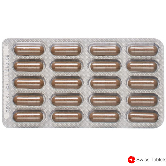 Padma Digestin Kapseln (neu) 60 Stück buy online