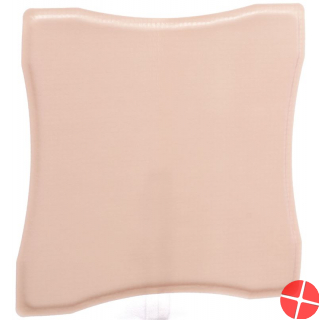 Allevyn Adhesive Wundverband 22.5x22.5cm 10 Stück Allevyn Adhesive Wundverband 22.5x22.5cm 10 Stück