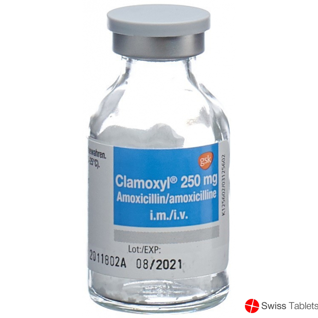 Clamoxyl Trockensubstanz 250mg Durchstechflasche 10 Stück buy online
