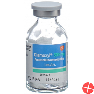 Clamoxyl Trockensubstanz 500mg Durchstechflasche 10 Stück