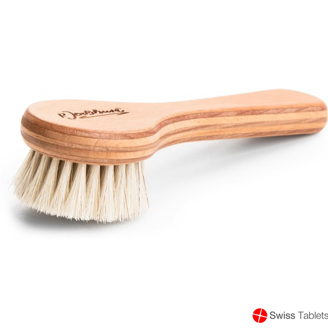 Jentschura facial brush buy online