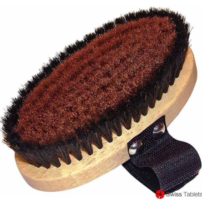 Jentschura energy brush buy online