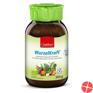 Jentschura Wurzelkraft Feingranulat Bio 300g