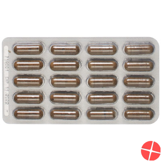 Padma Hepaten Capsules Blister 60 pieces