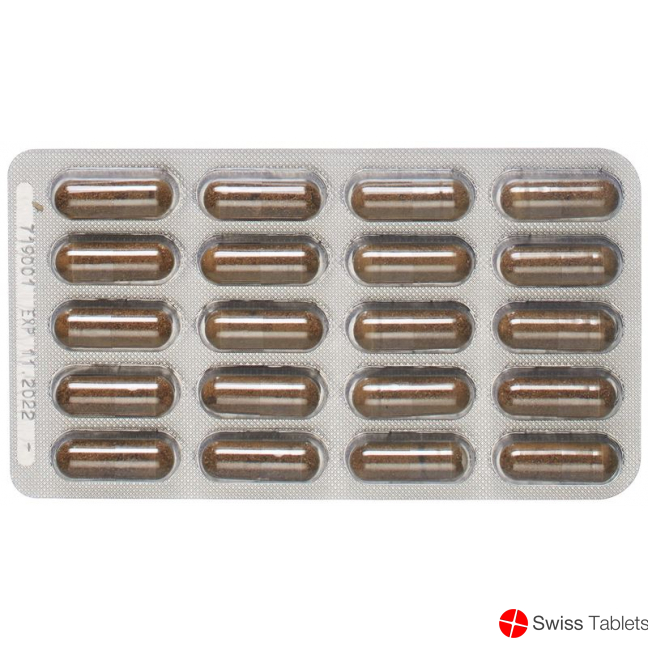 Padma Hepaten Capsules Blister 60 pieces buy online