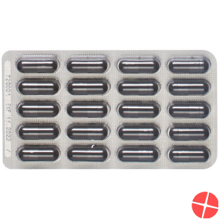 Padma Galeten Capsules Blister 60 pieces
