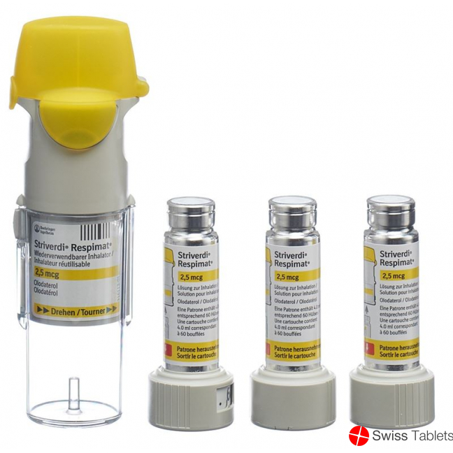 Striverdi Respimat Inhal Lös 2.5 mcg / stroke reusable 3 x 60 Dos