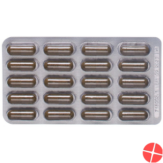 Padma Nervoven Capsules Blister 60 pieces