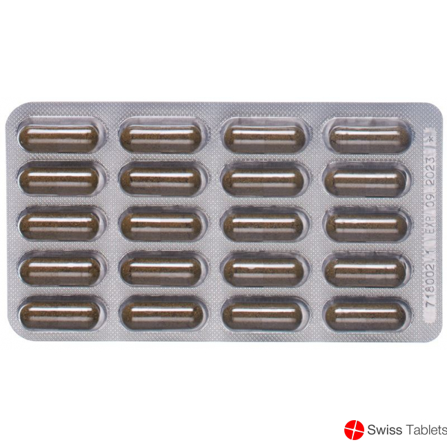 Padma Nervoven Capsules Blister 60 pieces buy online