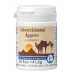 Canea Pharma Schwarzkümmel Aegypt Vit E Kapseln 60 S buy online