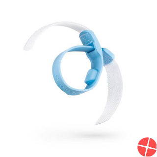 Prosecca ribbon