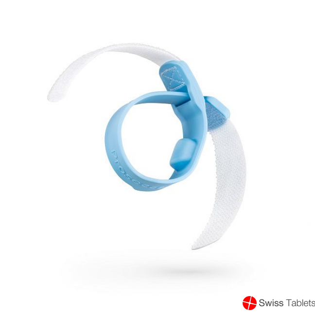 Prosecca ribbon buy online