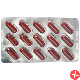 Dr. Dünner Artichoke Capsules 30 Caps