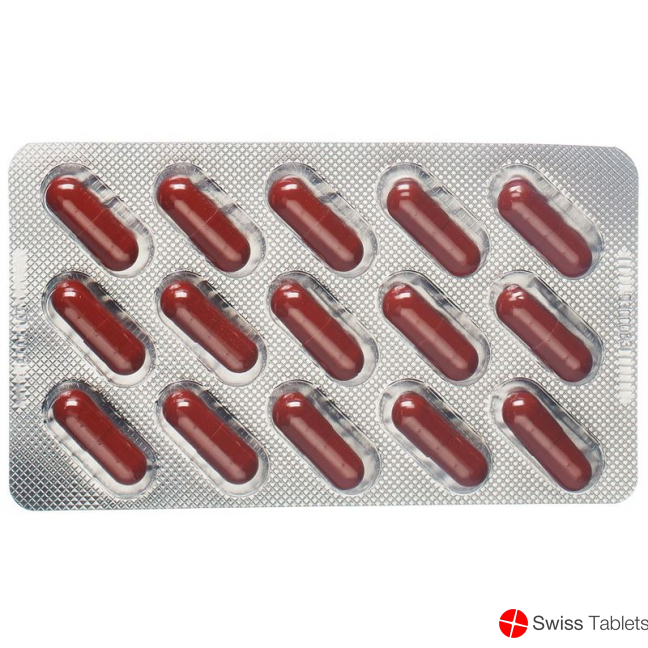Dr. Dünner Artichoke Capsules 30 Caps buy online
