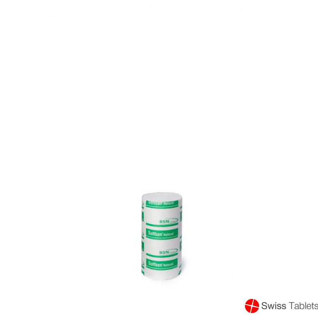 Soffban Natur Polsterbinde 10cmx2.7m 12 Stück buy online