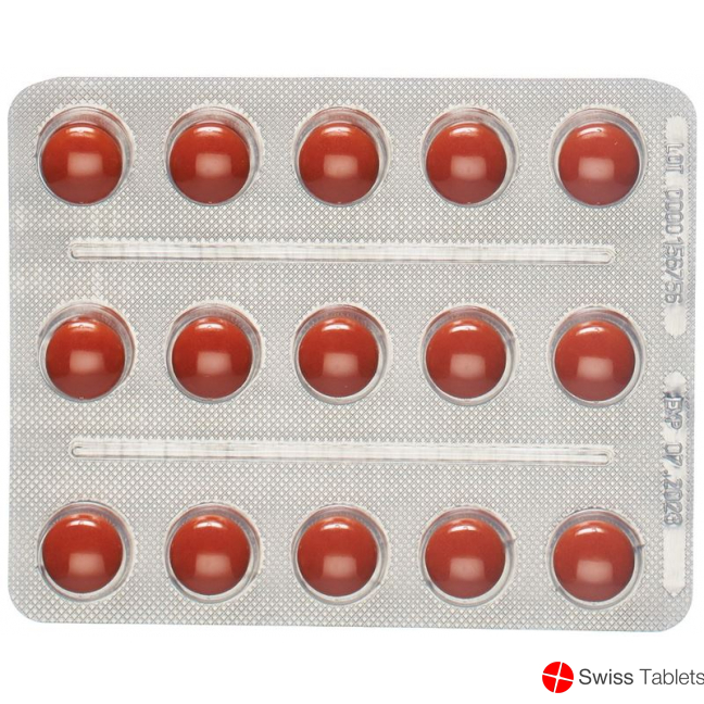 Canephron Tabletten 30 Stück buy online