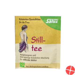 Salus Breastfeeding Tea Organic Bag 15 Piece